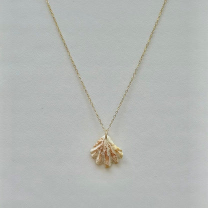 Spotted Kitten Paw Seashell 14k Gold Filled Cable Necklace