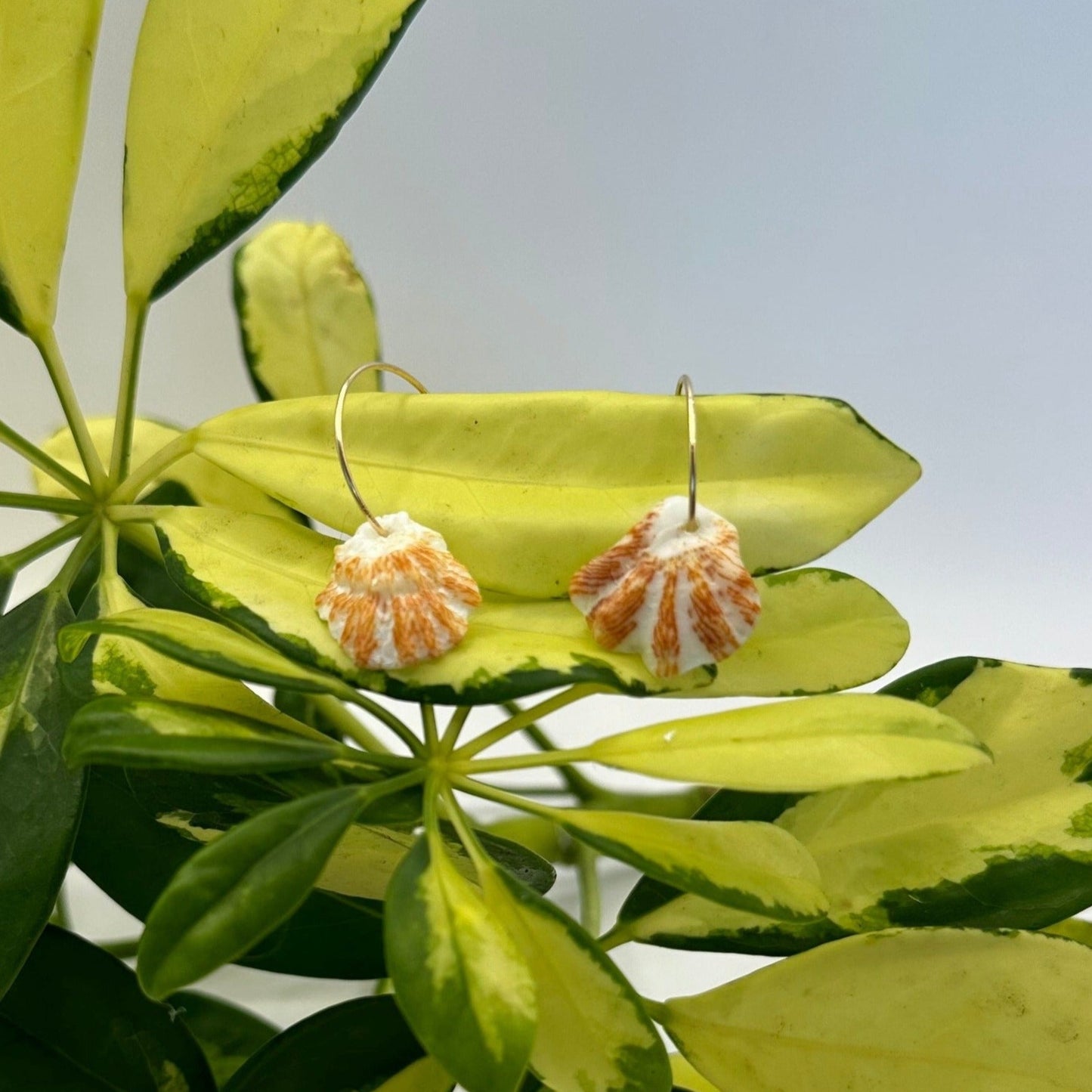 Spotted Kitten Paw 14k Gold Filled Hoop Earrings