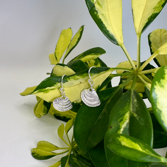 Mini Scallop Sterling Silver Wire Earrings