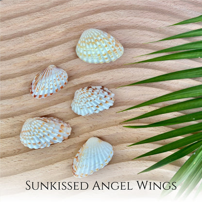 Sunkissed Angel Wing 14k Gold Filled Satellite Necklace