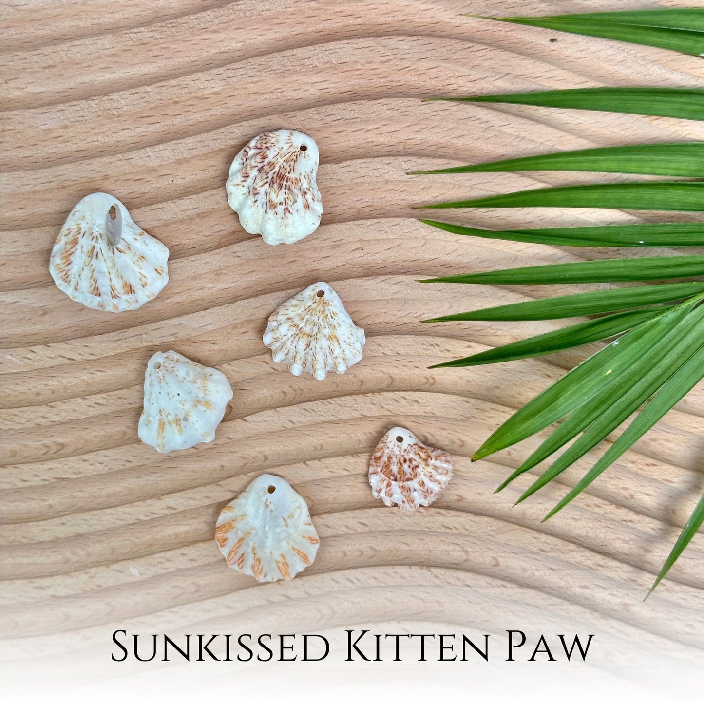 Spotted Kitten Paw Seashell 14k Gold Filled Satellite Necklace