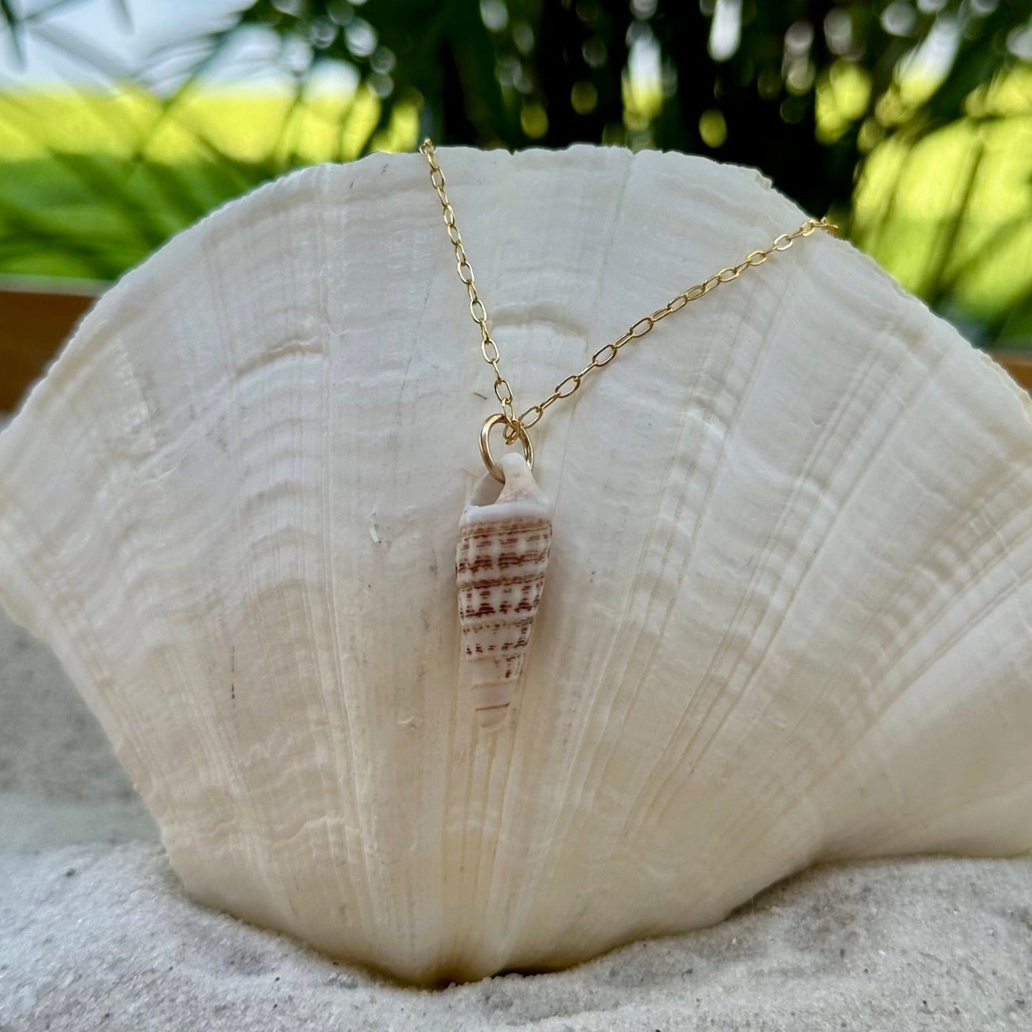 Turret Shell 14k Gold Filled Necklace