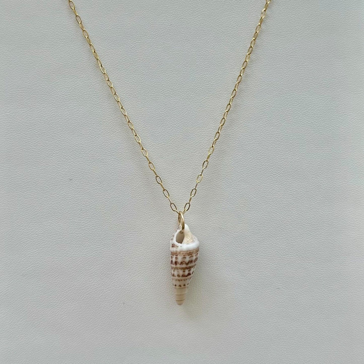 Turret Shell 14k Gold Filled Necklace