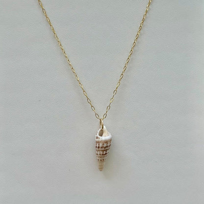 Turret Shell 14k Gold Filled Necklace