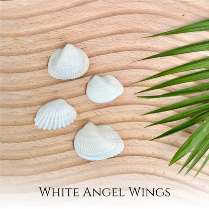 White Angel Wing Seashell Sterling Silver Necklace