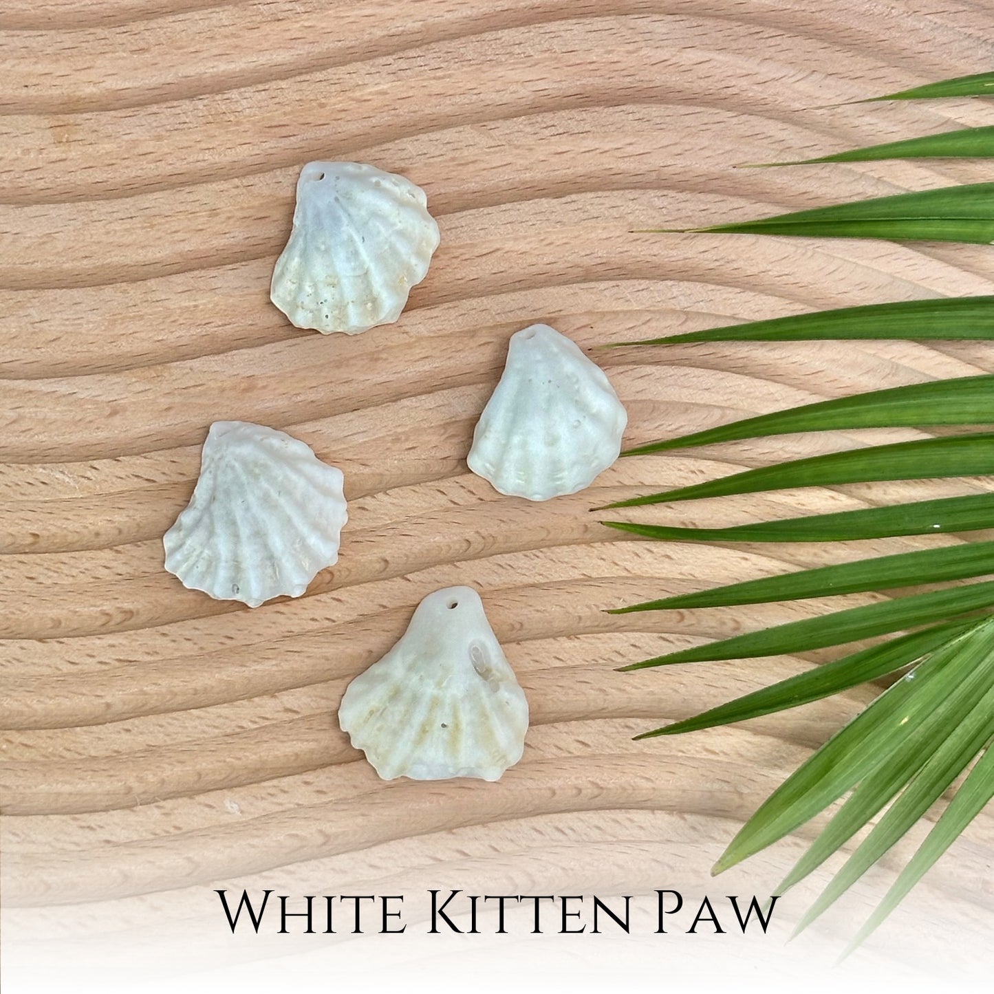 Custom Kitten Paw Seashell Necklace