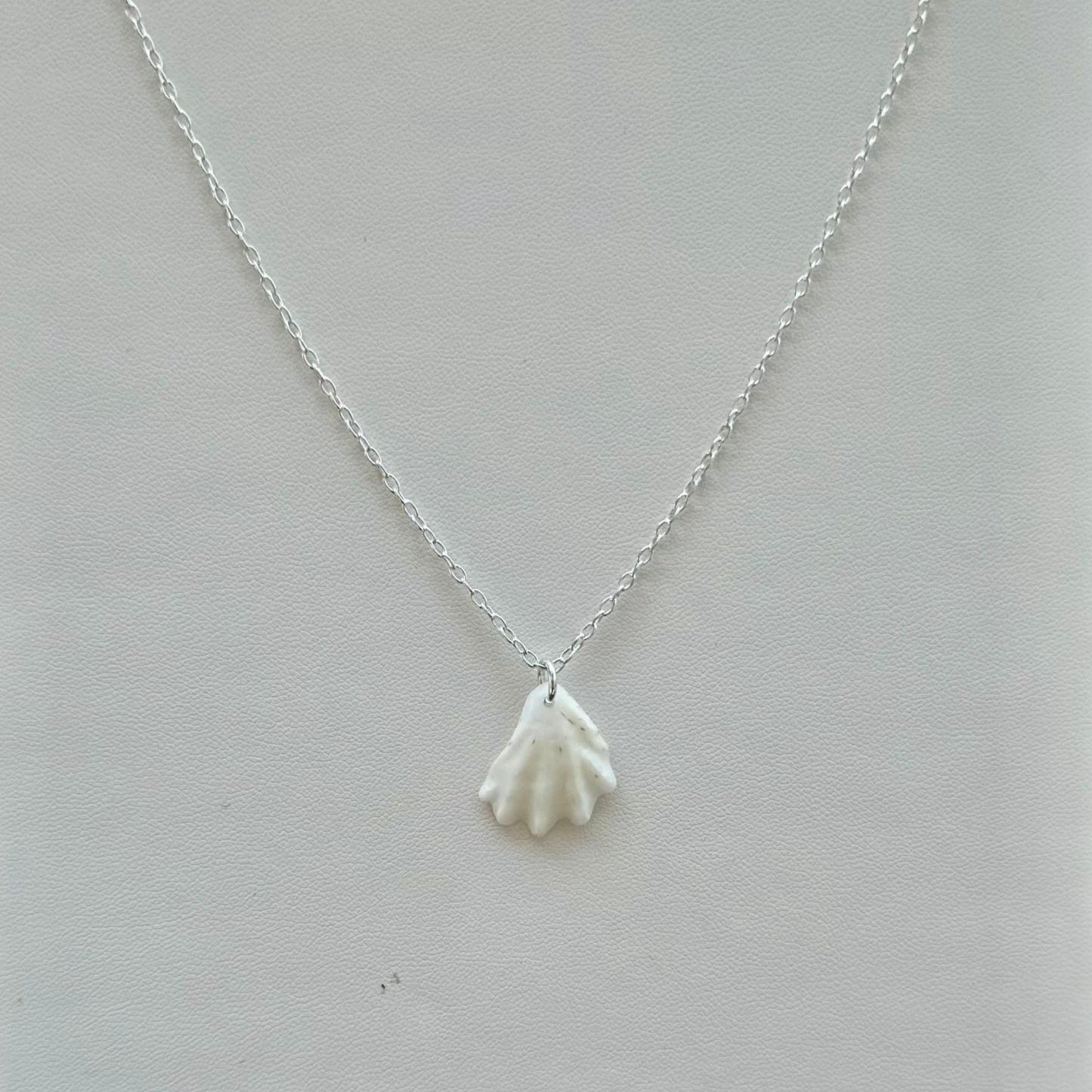 White Kitten Paw Seashell Sterling Silver Necklace