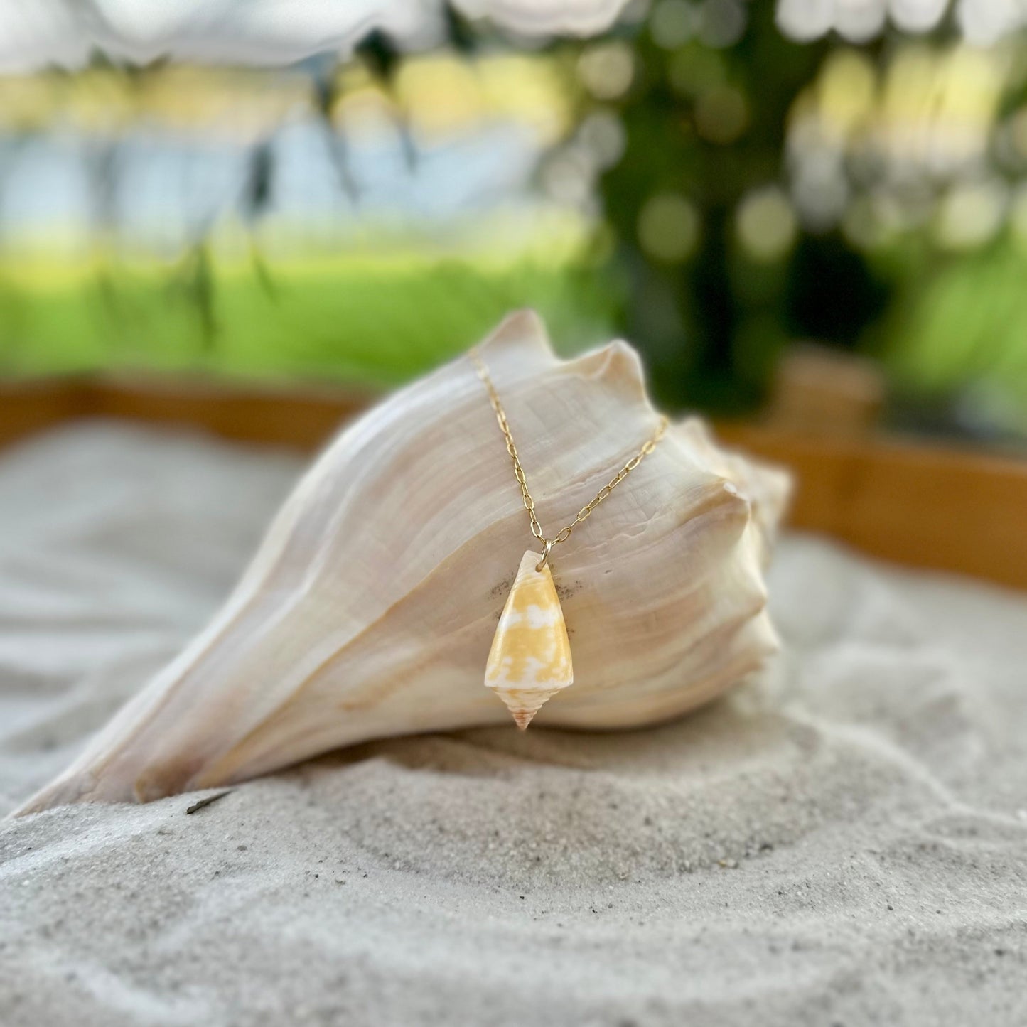 Yellow Florida Cone Seashell 14k Gold Filled Paperclip Necklace