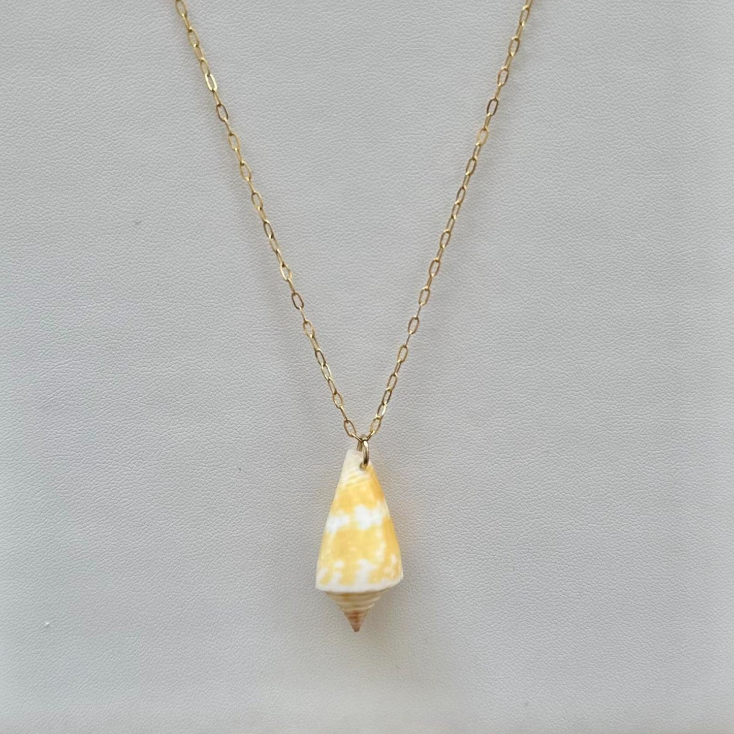 Yellow Florida Cone Seashell 14k Gold Filled Paperclip Necklace