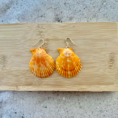 Yellow Large Scallops 14K Gold Filled Earrings