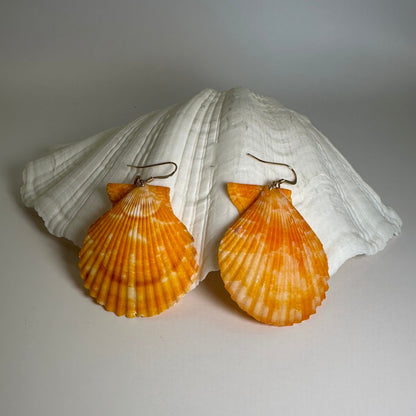 Yellow Large Scallops 14K Gold Filled Earrings